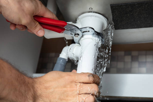 Best Water damage cleanup near me  in Felton, CA