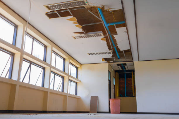 Best Flooded house restoration  in Felton, CA
