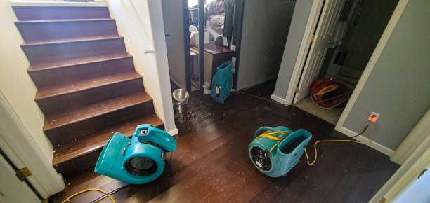 Best 24/7 water damage repair  in Felton, CA
