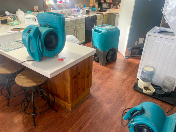 Best Residential water damage restoration  in Felton, CA