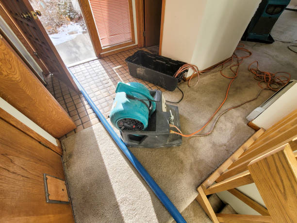 Best Flood damage cleanup  in Felton, CA
