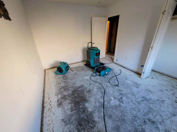 24/7 water damage repair in Felton, CA