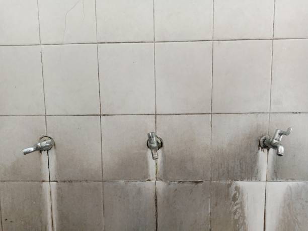 Best Ceiling water damage repair  in Felton, CA