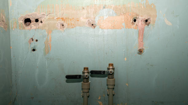 Best 24-hour water damage restoration  in Felton, CA