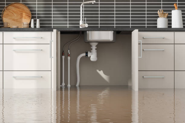 Professional Water damage restoration in Felton, CA