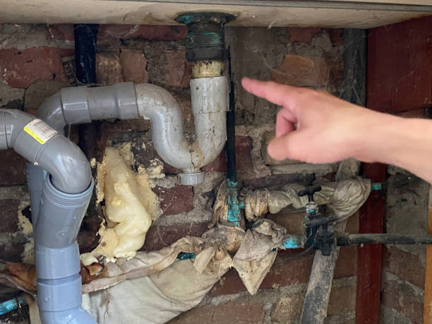 Best Basement water damage restoration  in Felton, CA