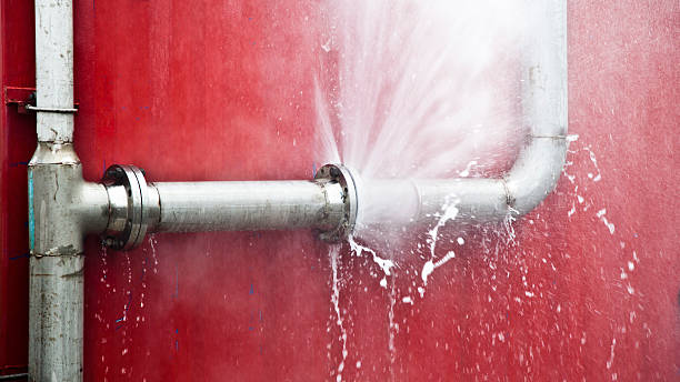 Best Local water damage restoration  in Felton, CA